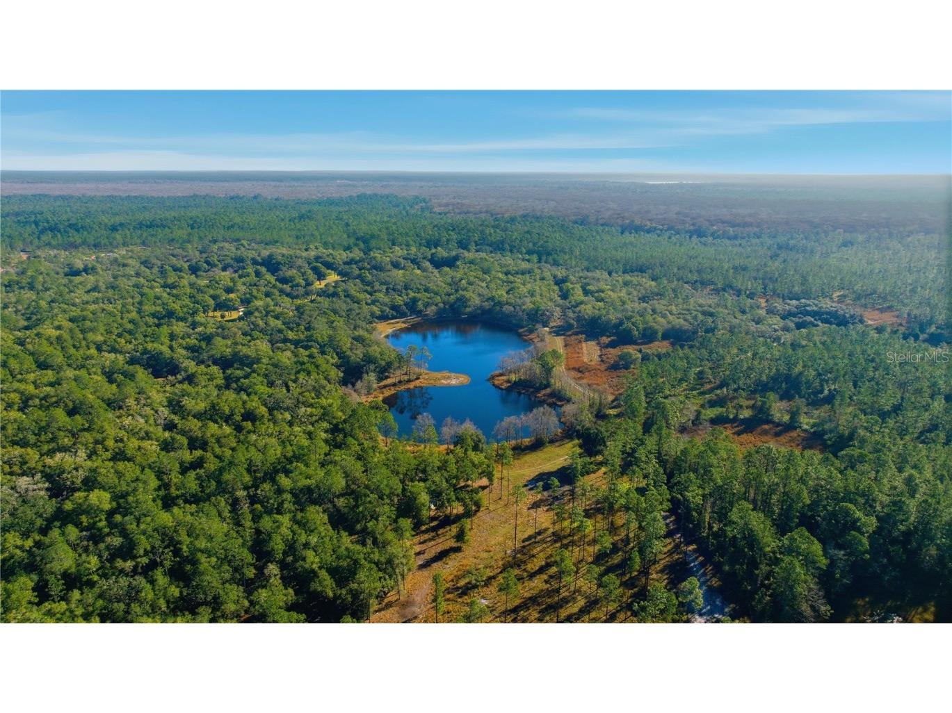 TBD (Lot 3) NE 115th Lane Road Fort Mc Coy FL 32134 OM715199 image3