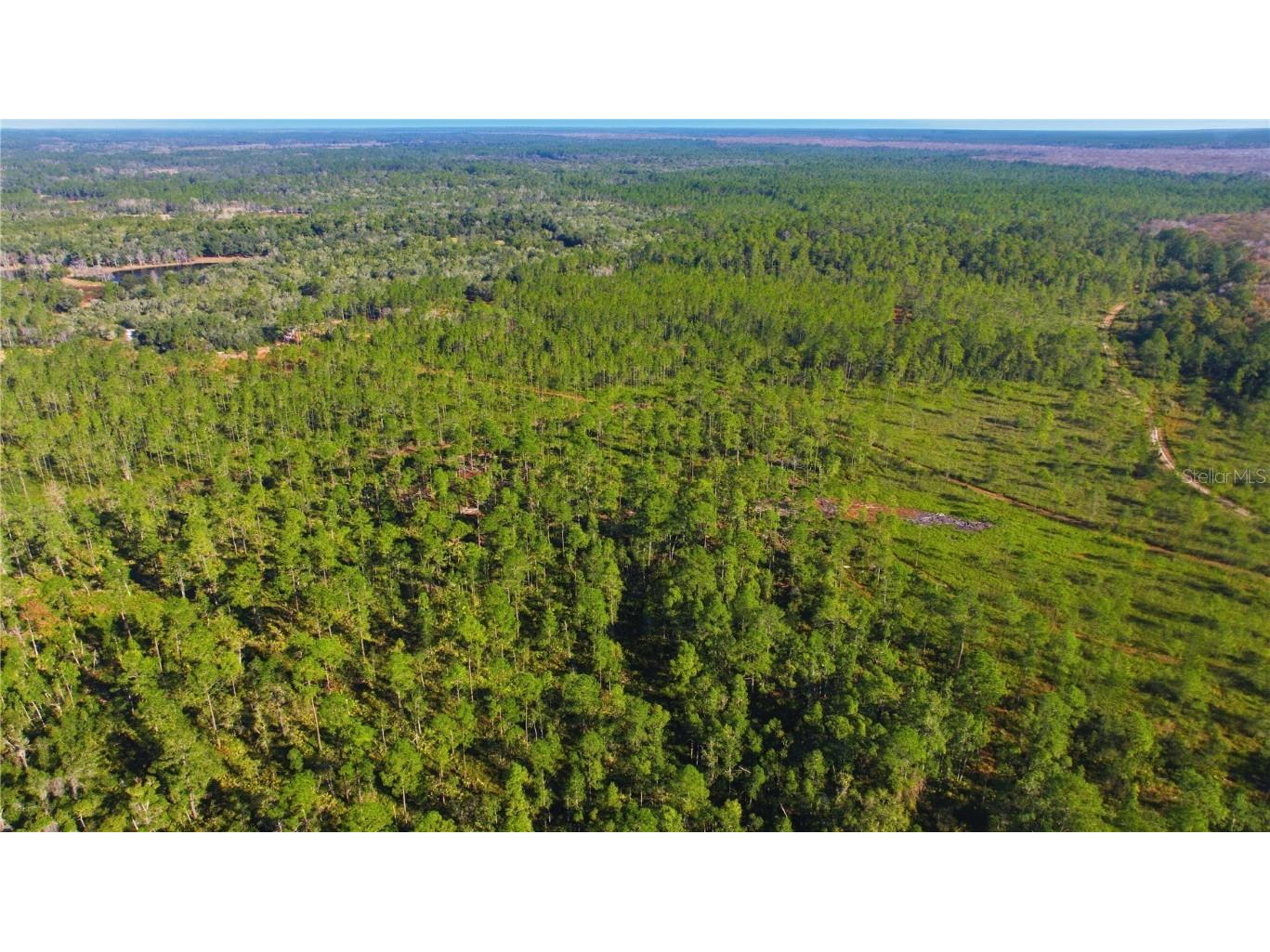 TBD (Lot 5) NE 115th Lane Road Fort Mc Coy FL 32134 OM715896 image4