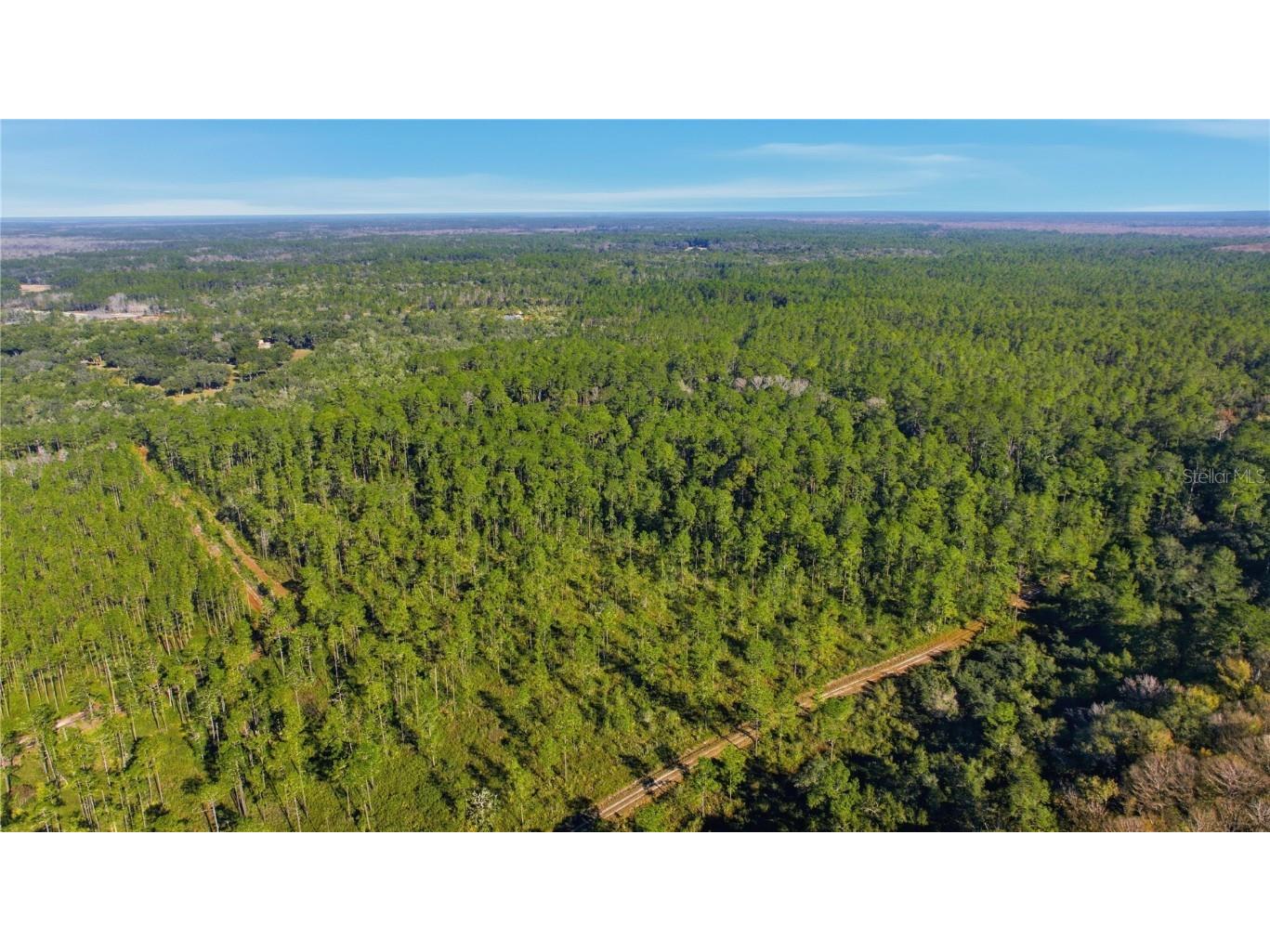 TBD (Lot 5) NE 115th Lane Road Fort Mc Coy FL 32134 OM715896 image7