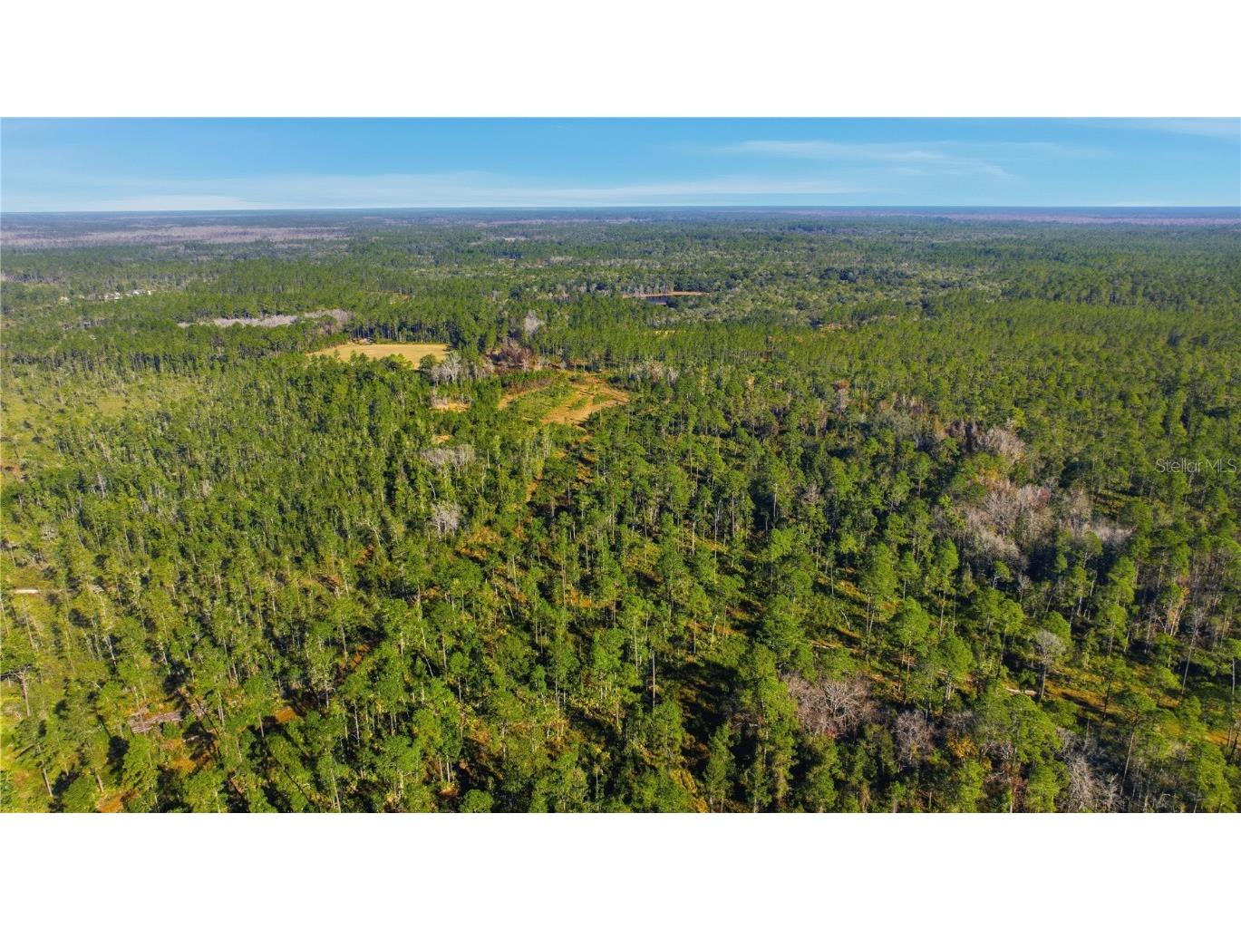 TBD (Lot 5) NE 115th Lane Road Fort Mc Coy FL 32134 OM715896 image9
