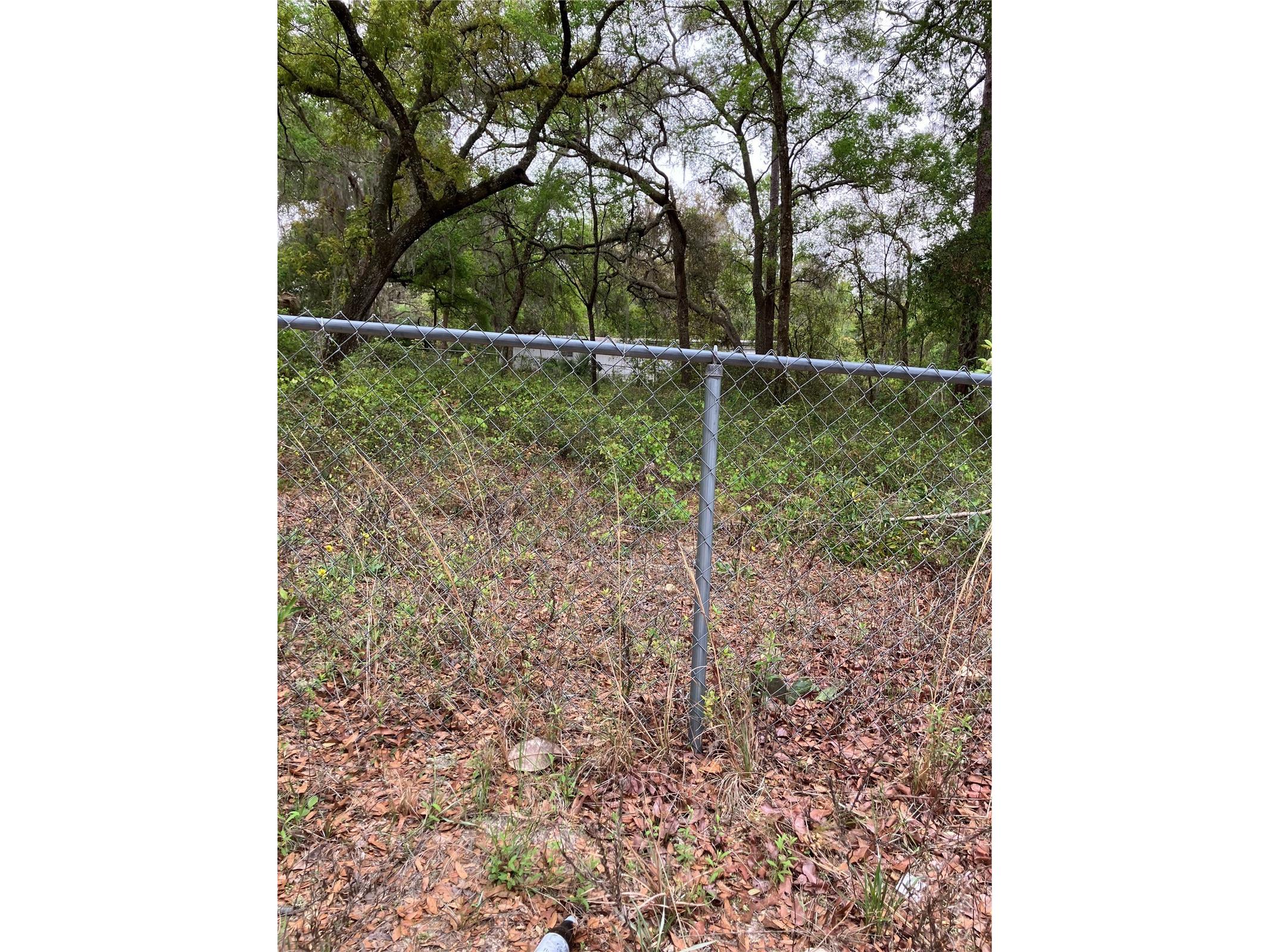 TBD Lot 58 SE 1st Lane Silver Springs FL 34488 OM709909 image10