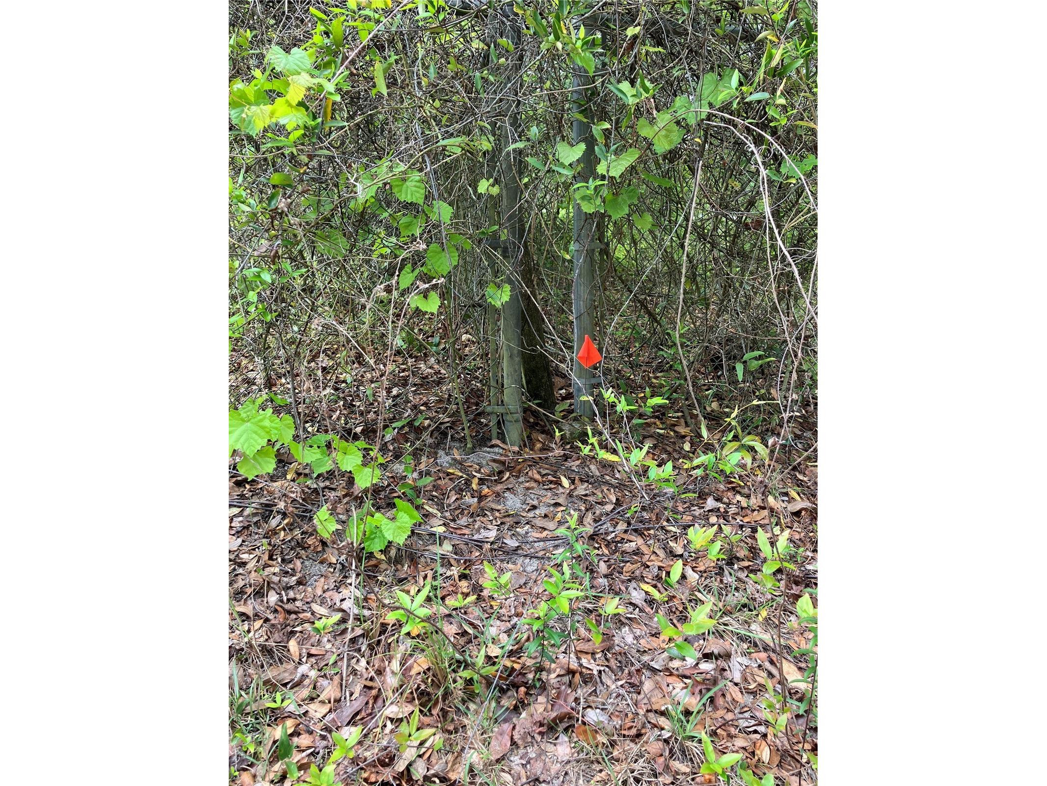 TBD Lot 58 SE 1st Lane Silver Springs FL 34488 OM709909 image5