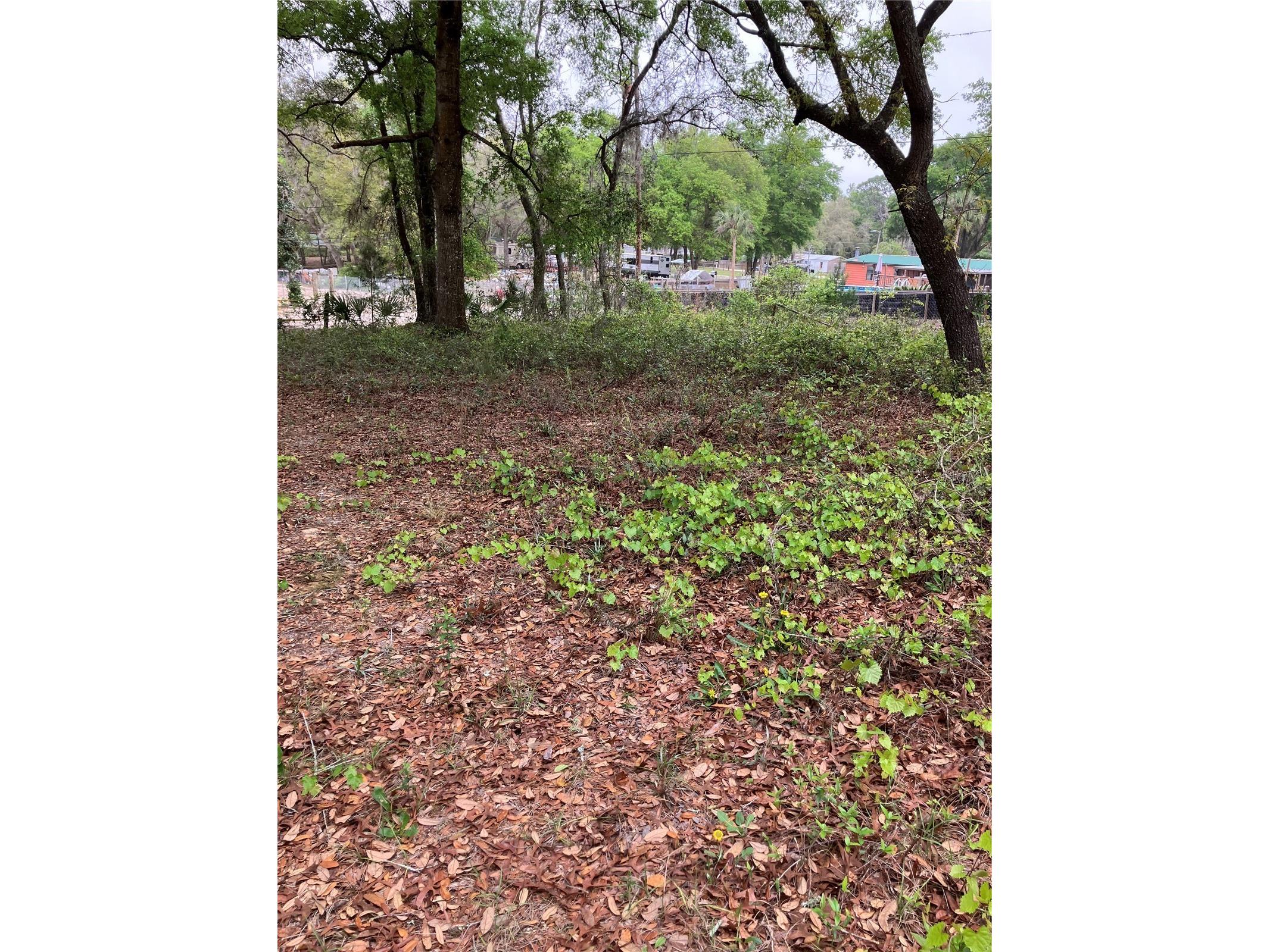 TBD Lot 58 SE 1st Lane Silver Springs FL 34488 OM709909 image8