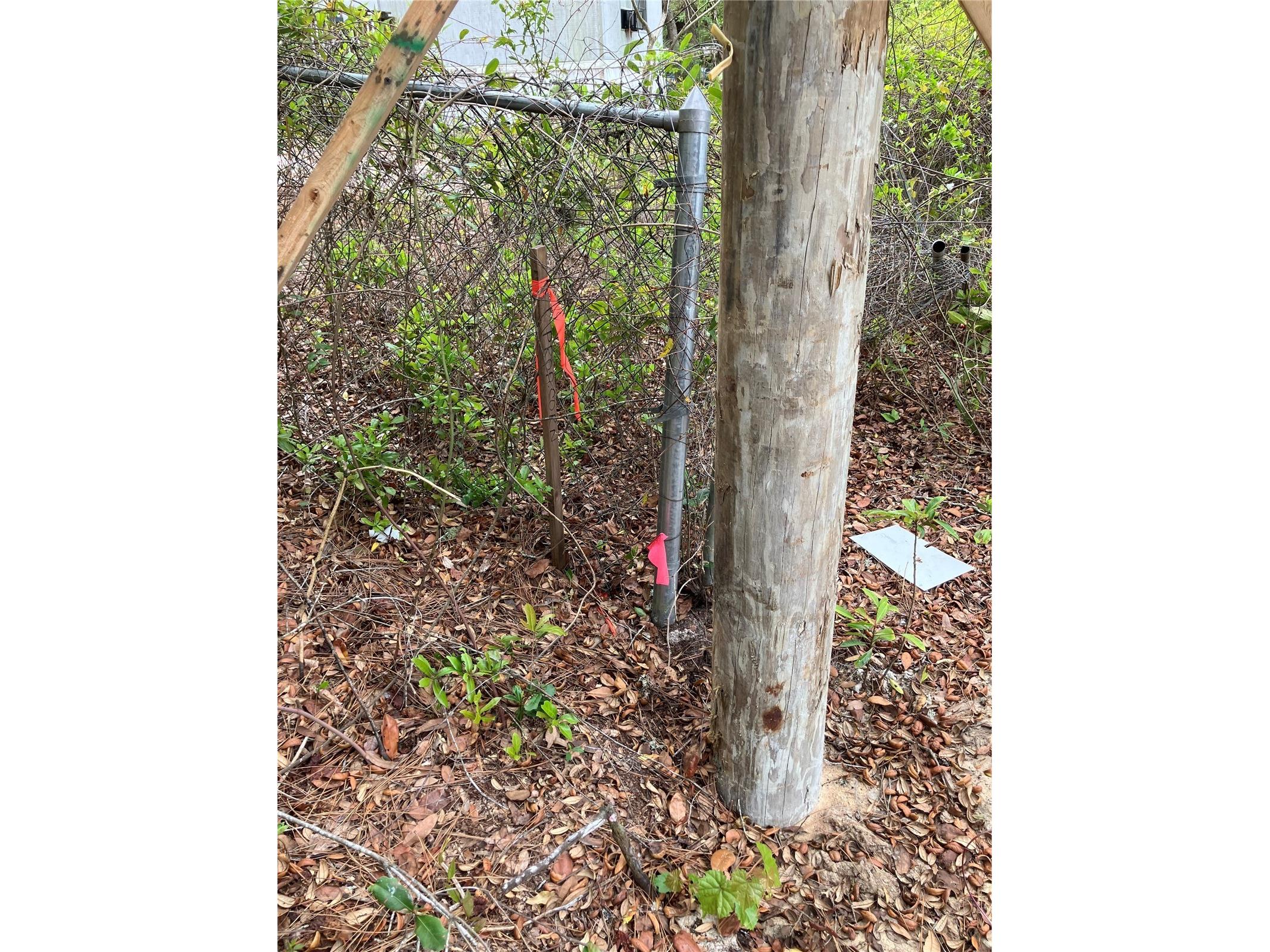 TBD Lot 58 SE 1st Lane Silver Springs FL 34488 OM709909 image9