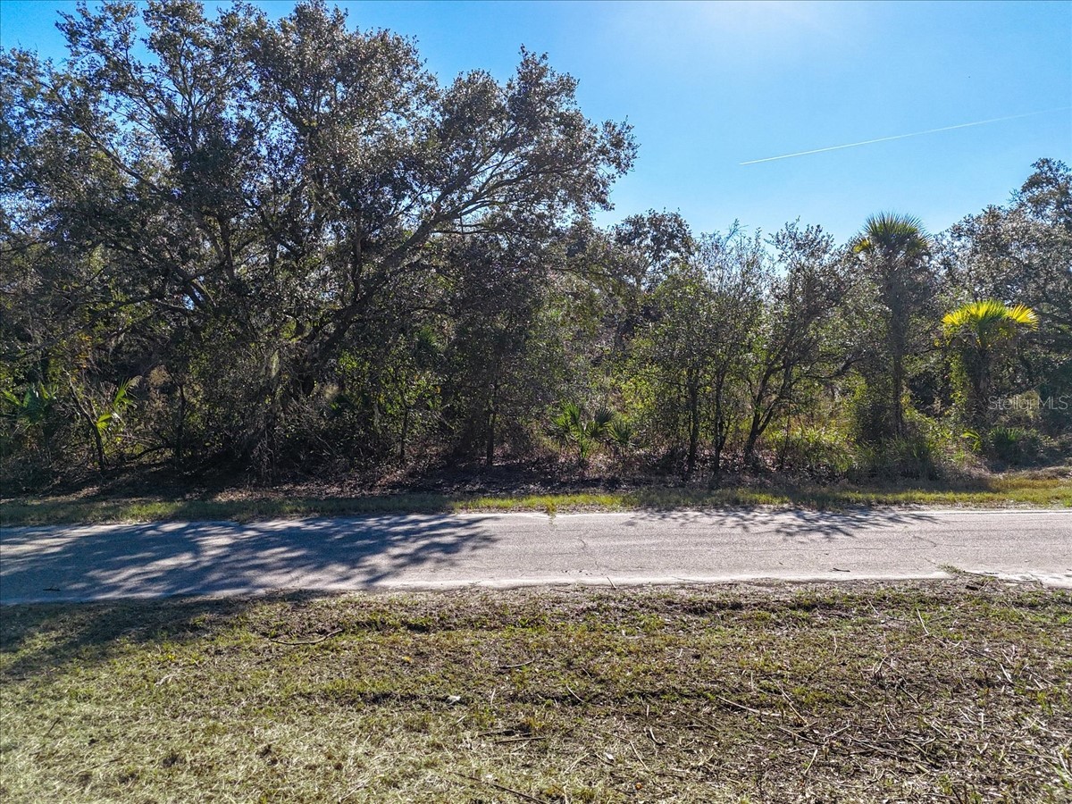 TBD Lot 6 Jensley Avenue North Port FL 34286 A4677842 image7