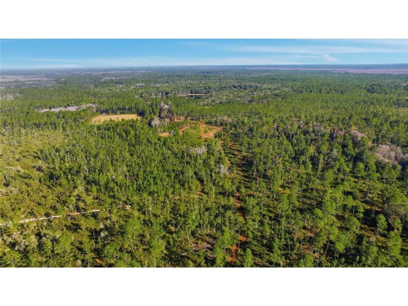 TBD (Lot 6) NE 115th Lane Road Fort Mc Coy FL 32134 OM715902 image4
