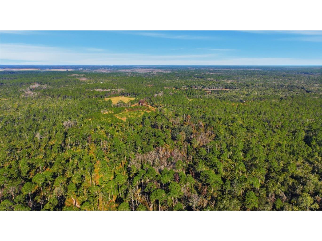 TBD (Lot 6) NE 115th Lane Road Fort Mc Coy FL 32134 OM715902 image5