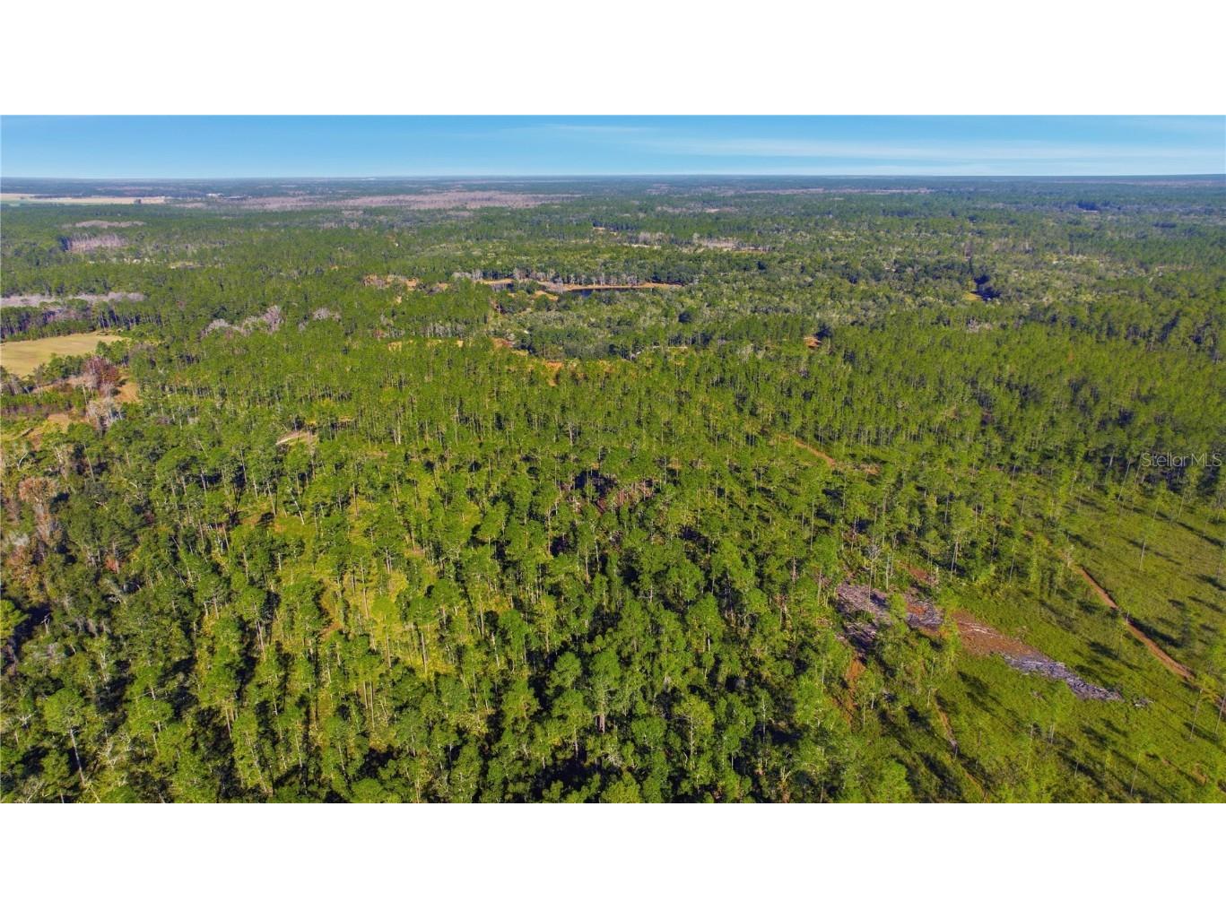 TBD (Lot 6) NE 115th Lane Road Fort Mc Coy FL 32134 OM715902 image7