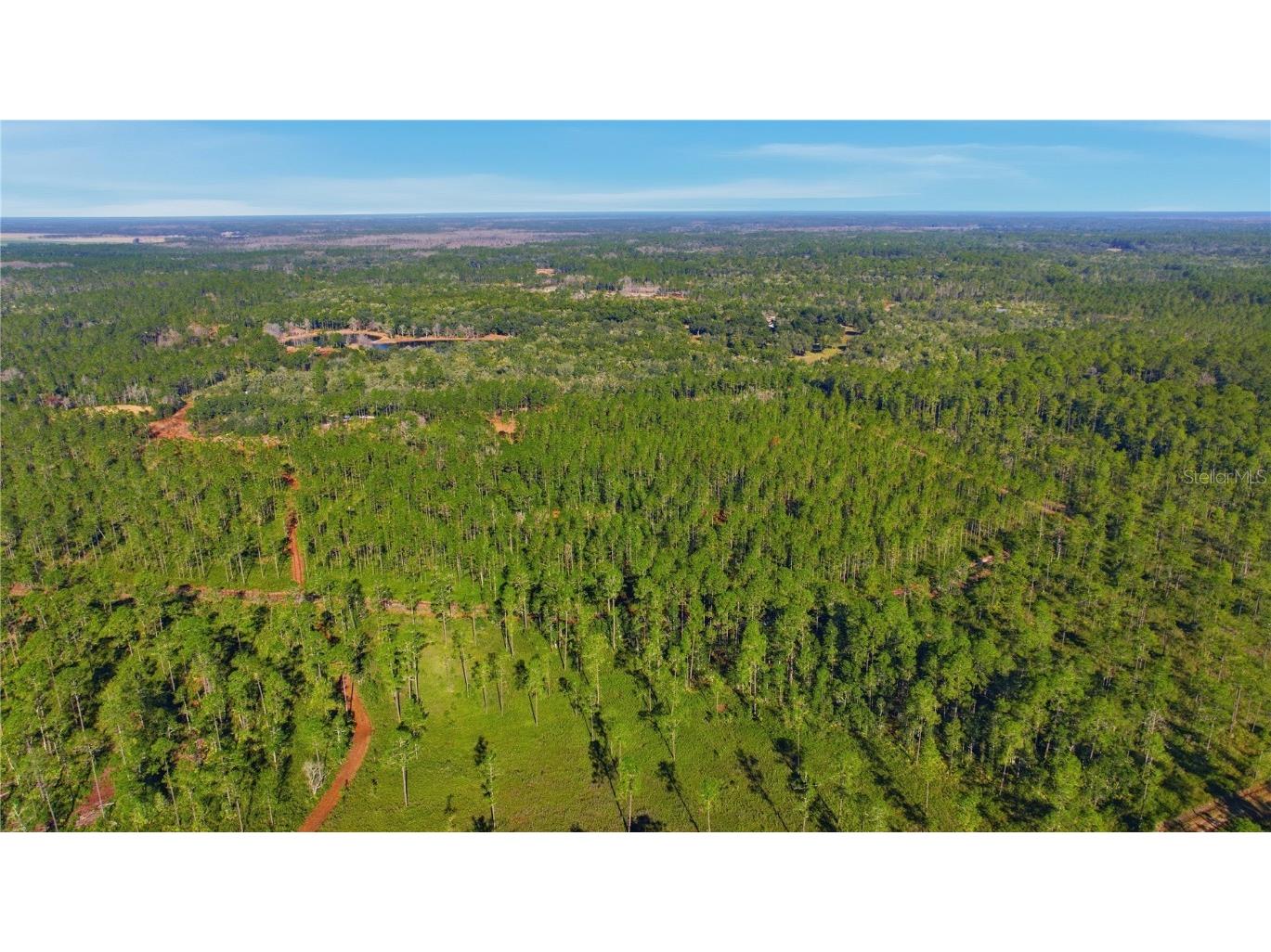TBD (Lot 6) NE 115th Lane Road Fort Mc Coy FL 32134 OM715902 image8
