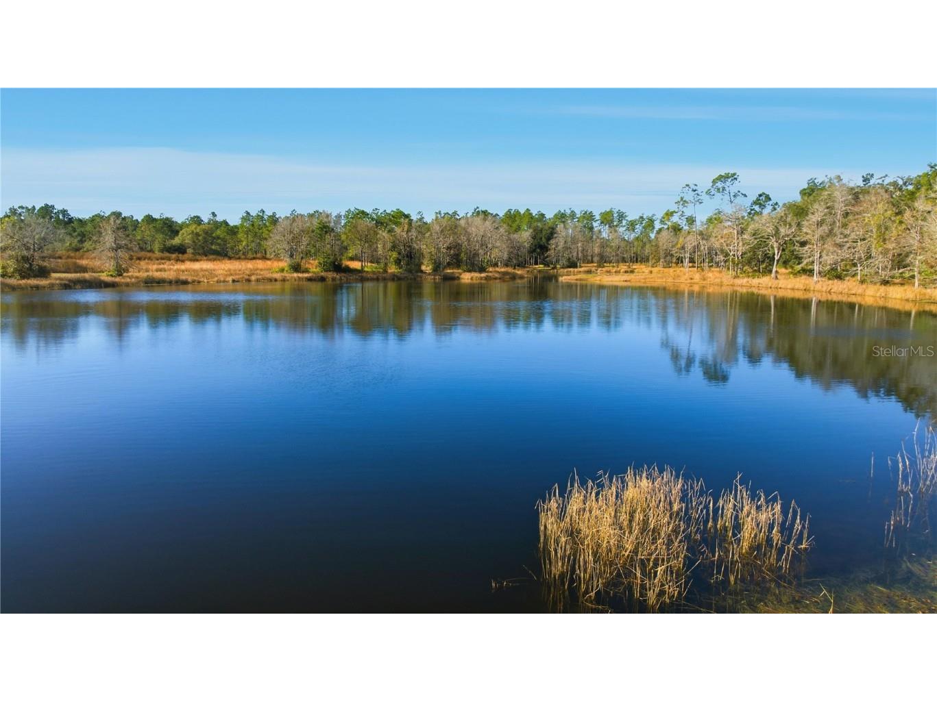 TBD (Lot 6) NE 115th Lane Road Fort Mc Coy FL 32134 OM715902 image9