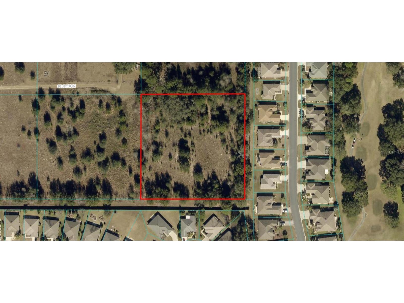 TBD Lot 7 SE 128th Lane Summerfield FL 34491 OM657052 image1