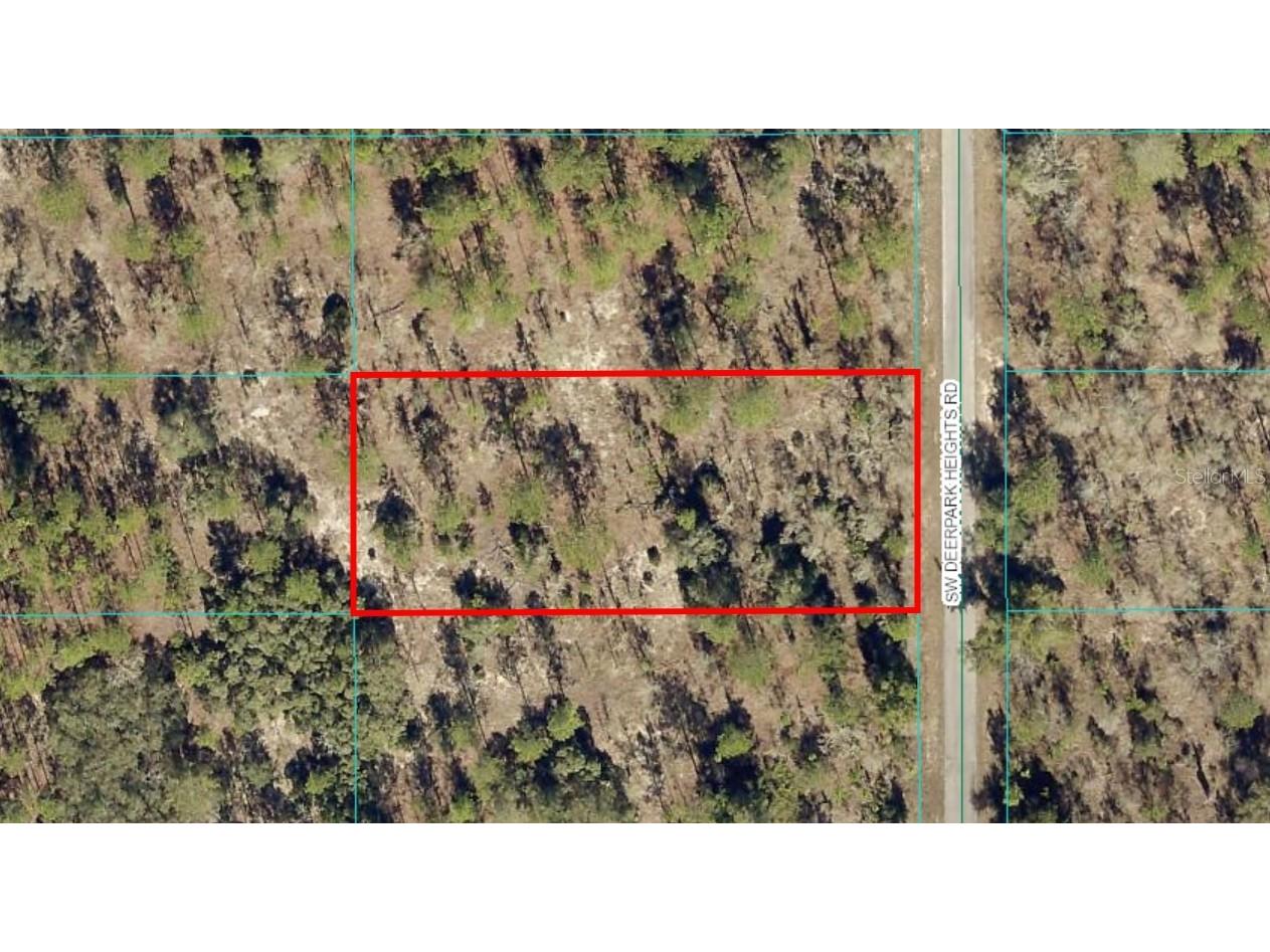 TBD Lot 8 SW Deerpark Heights Road Dunnellon FL 34431 OM694266 image1