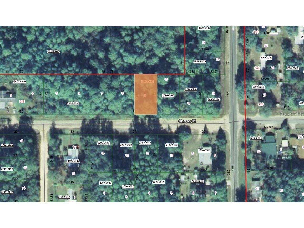 TBD Lot 9 Sharon Street Interlachen FL 32148 OM670741 image1