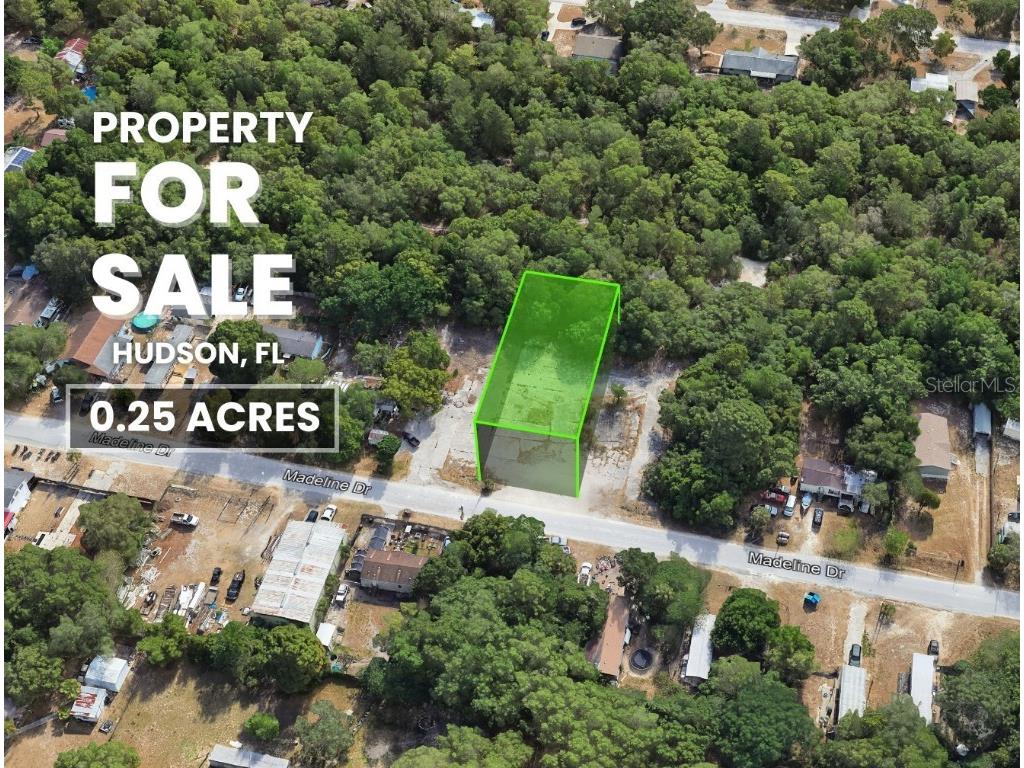 TBD Madeline Hudson FL 34667 TB8437990 image1