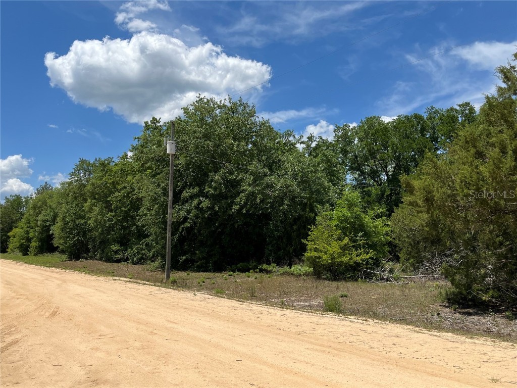 TBD Magnolia Lane Marianna FL 32448 OK225305 image10