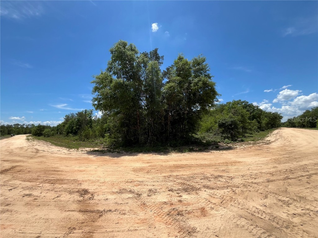 TBD Magnolia Lane Marianna FL 32448 OK225305 image11