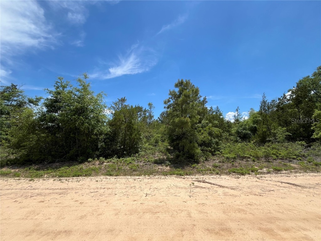 TBD Magnolia Lane Marianna FL 32448 OK225305 image12