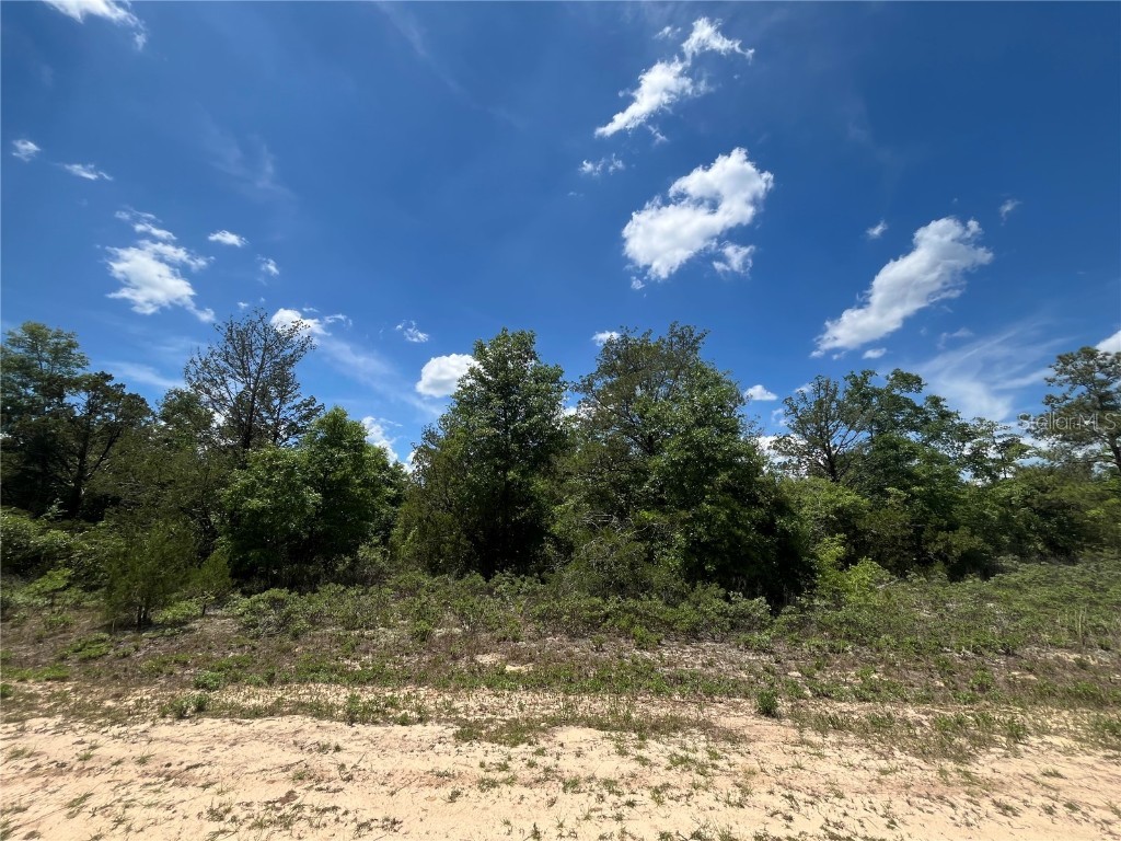 TBD Magnolia Lane Marianna FL 32448 OK225305 image2