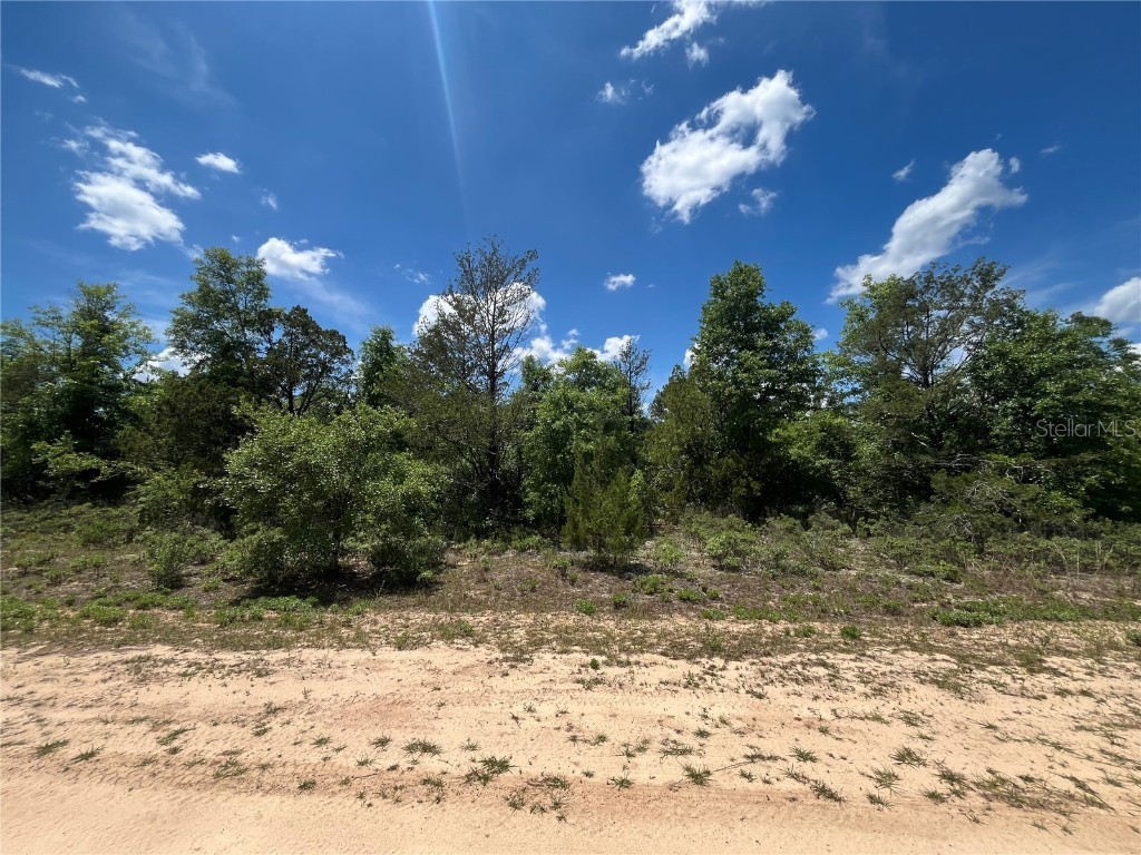 TBD Magnolia Lane Marianna FL 32448 OK225305 image5