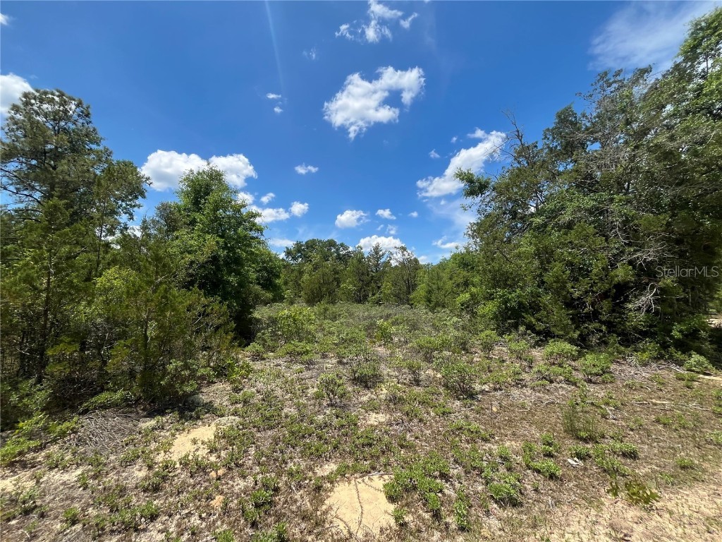 TBD Magnolia Lane Marianna FL 32448 OK225305 image8