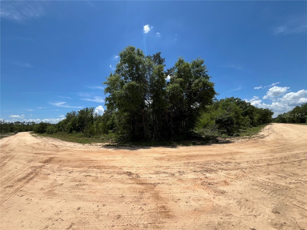 TBD Magnolia Lane Marianna FL 32448 OK225305 image9