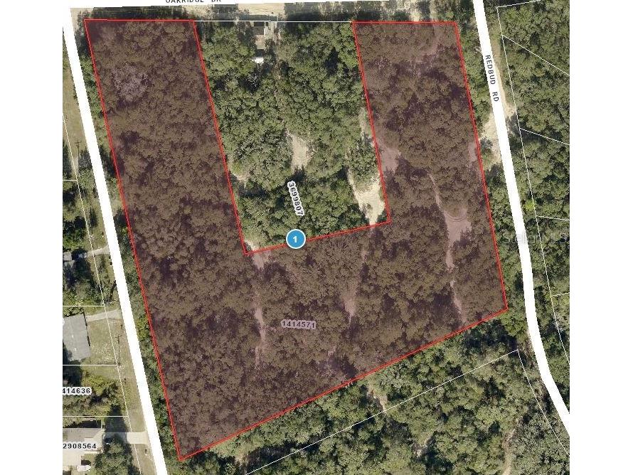 TBD Magnolia Street Lady Lake FL 32159 OM706604 image1