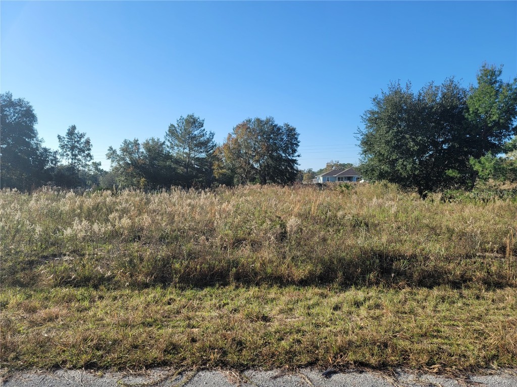 TBD Malauka Drive Ocklawaha FL 32179 G5063144 image1