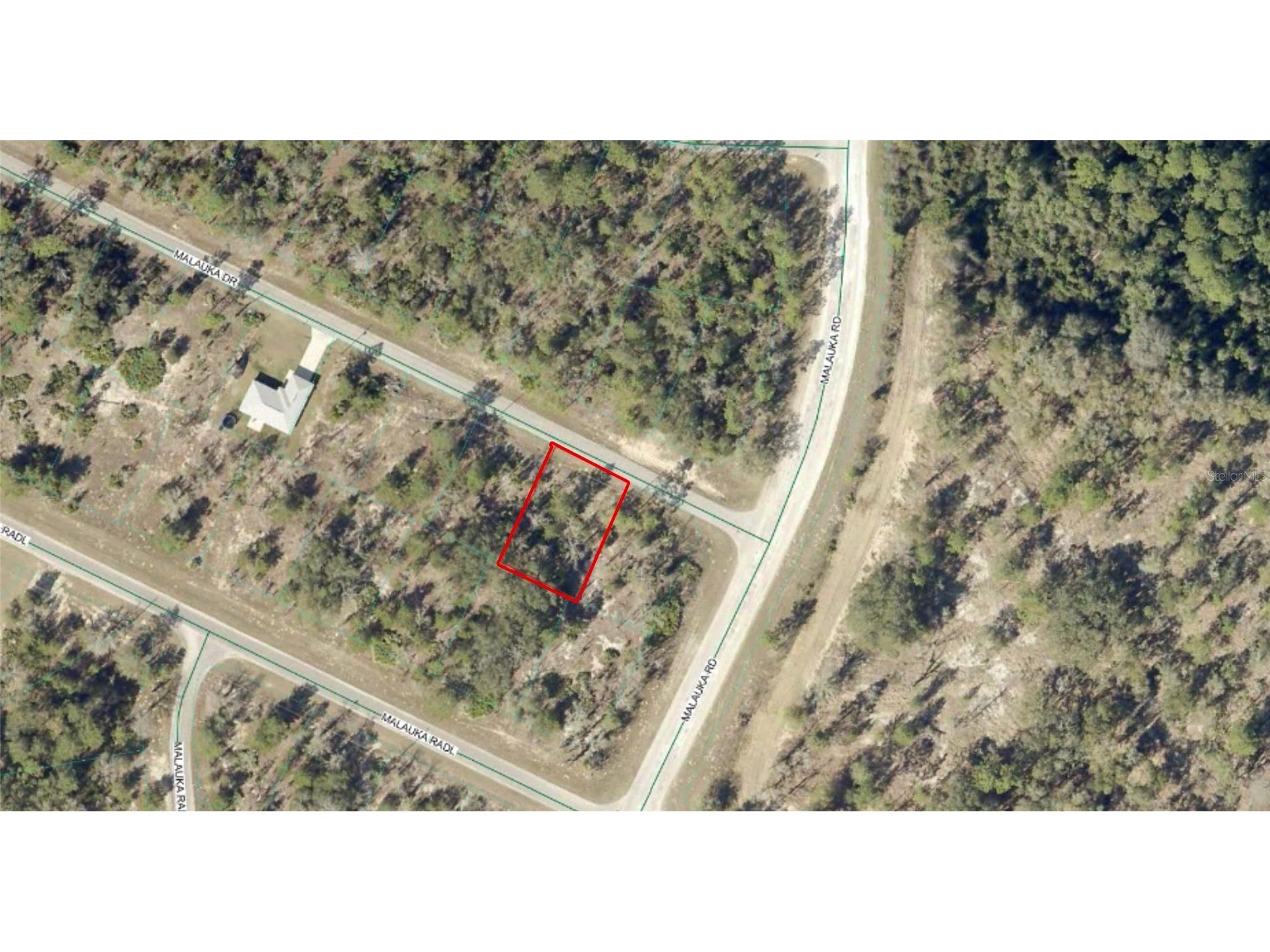 TBD Malauka Drive Ocklawaha FL 32179 OM721748 image1