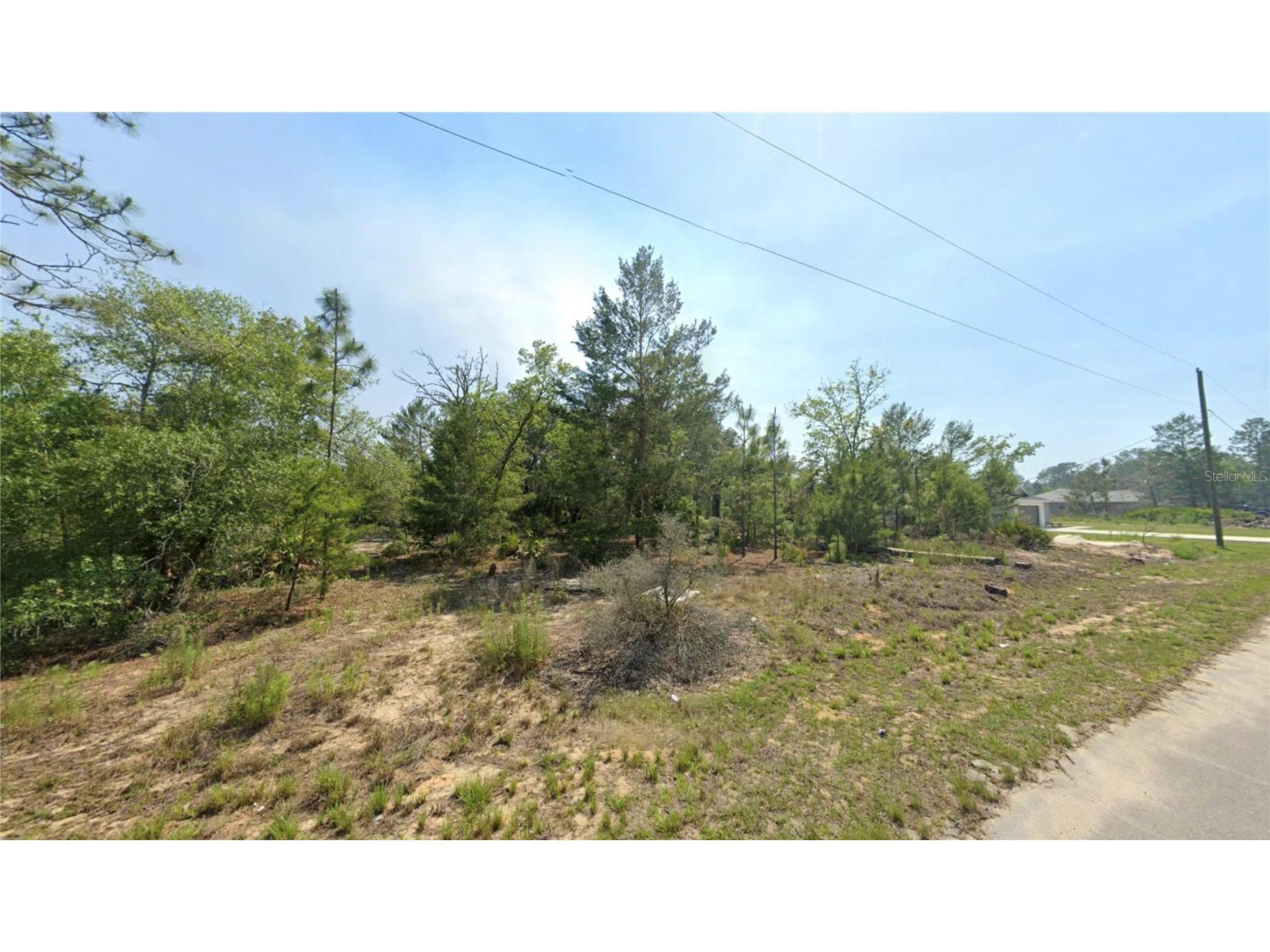 TBD Malauka Drive Ocklawaha FL 32179 OM721748 image3