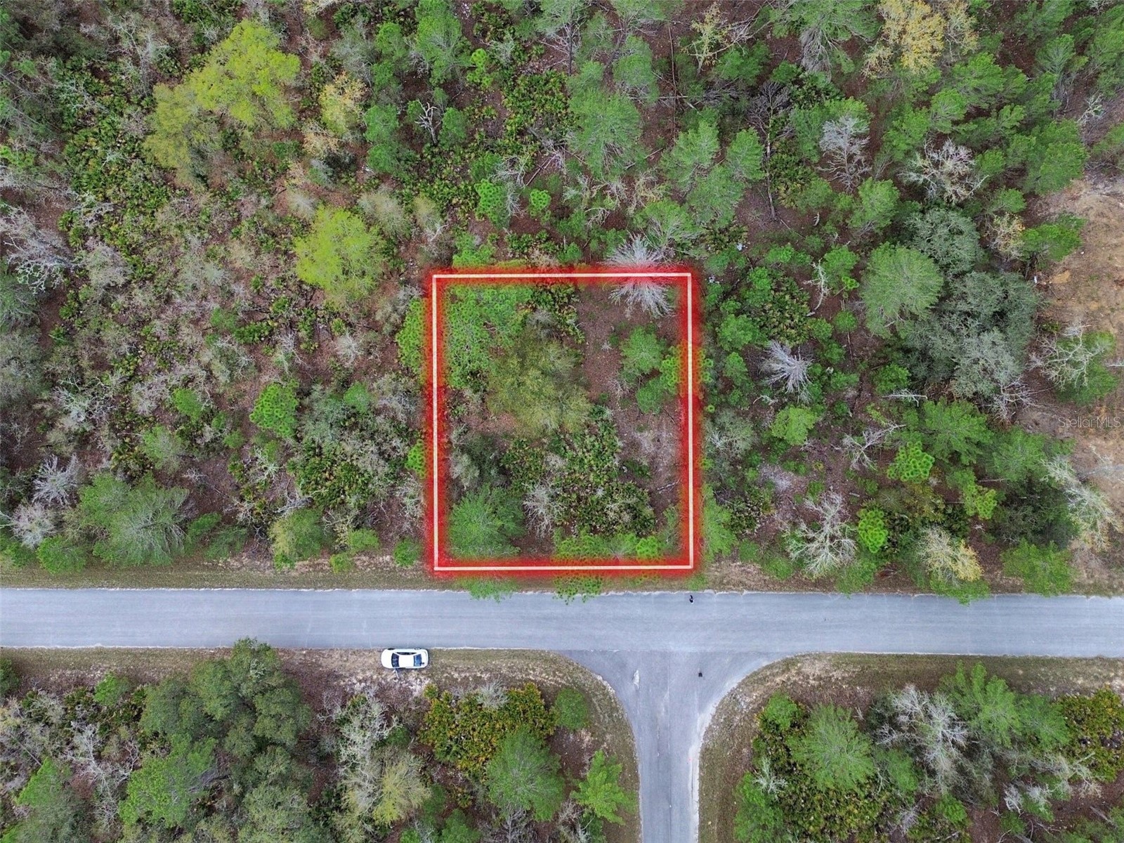 TBD Malauka Lane Ocklawaha FL 32179 OM720859 image1
