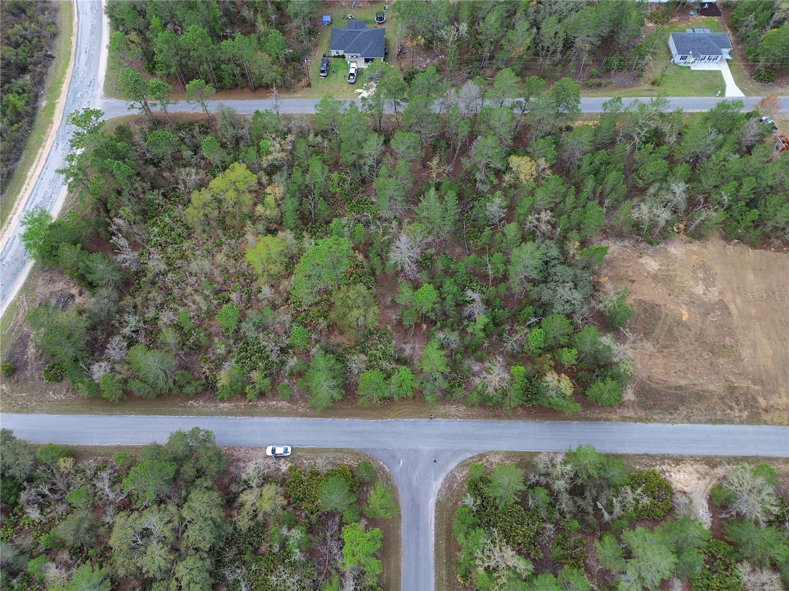 TBD Malauka Lane Ocklawaha FL 32179 OM720859 image2