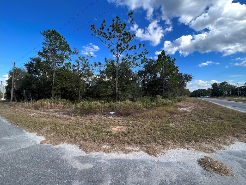 TBD Malauka Loop Ocklawaha FL 32179 OM667881 image1