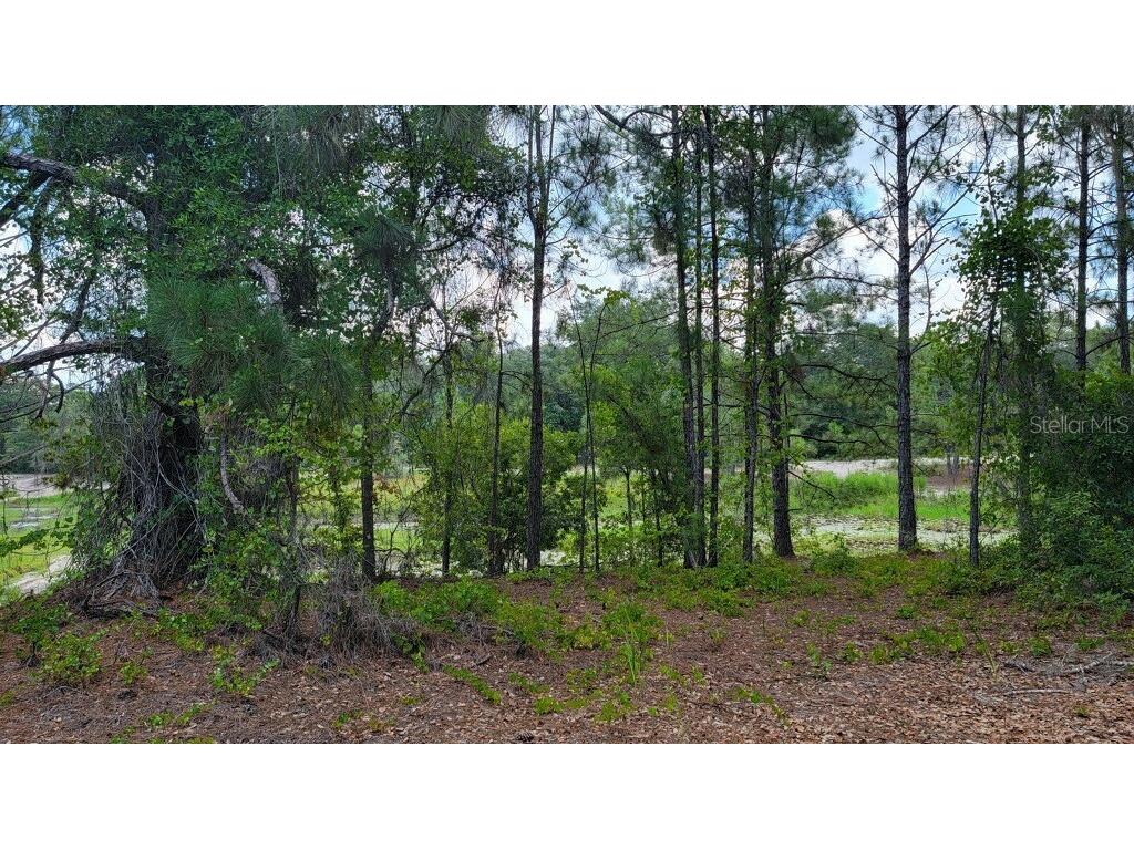 TBD Malauka Loop Run #LOT 13 Ocklawaha FL 32179 - LAKE HERON OM676706 image1