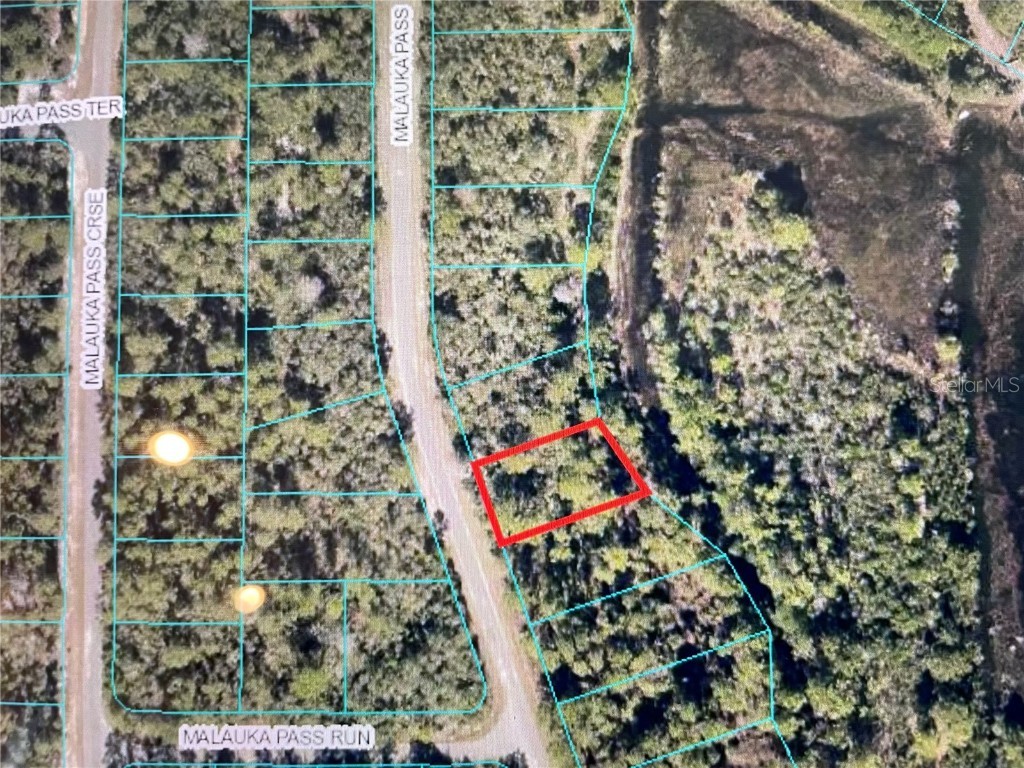 TBD Malauka Pass Ocklawaha FL 32179 OM657962 image1