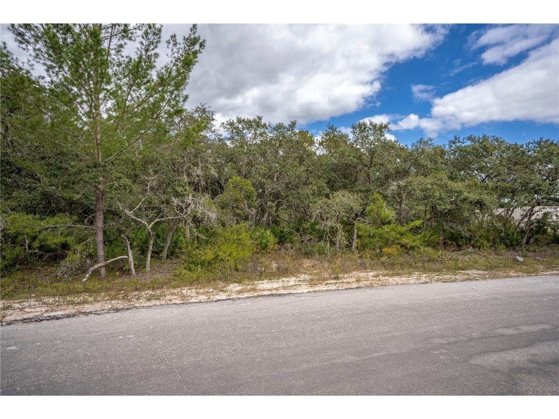 TBD Malauka Pass Ocklawaha FL 32179 - LAKE JEWEL OM667264 image1