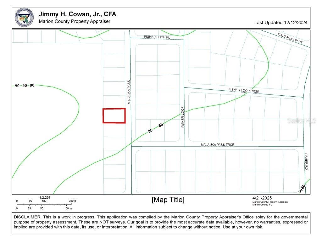 TBD Malauka Pass Ocklawaha FL 32179 OM699921 image2