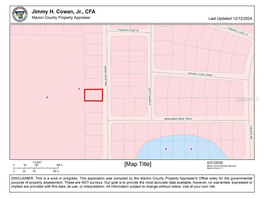 TBD Malauka Pass Ocklawaha FL 32179 OM699921 image3
