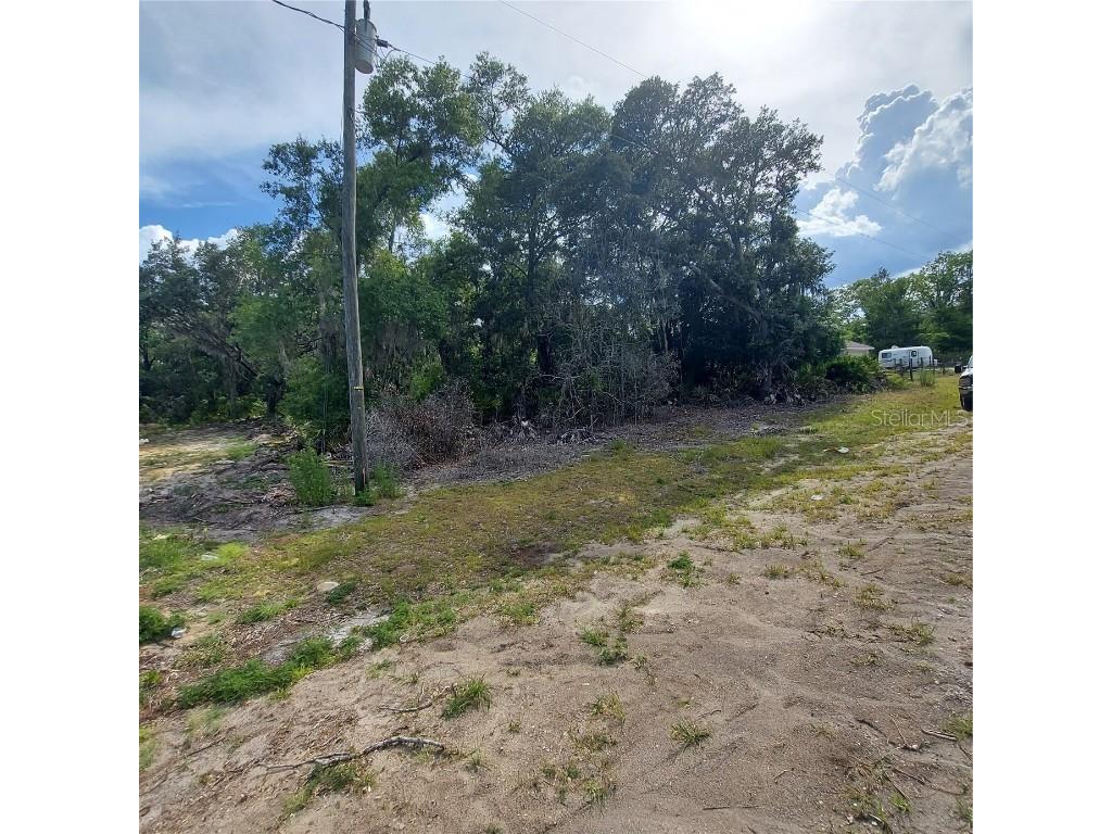 TBD Malauka Radial Ocklawaha FL 32179 OM666536 image1