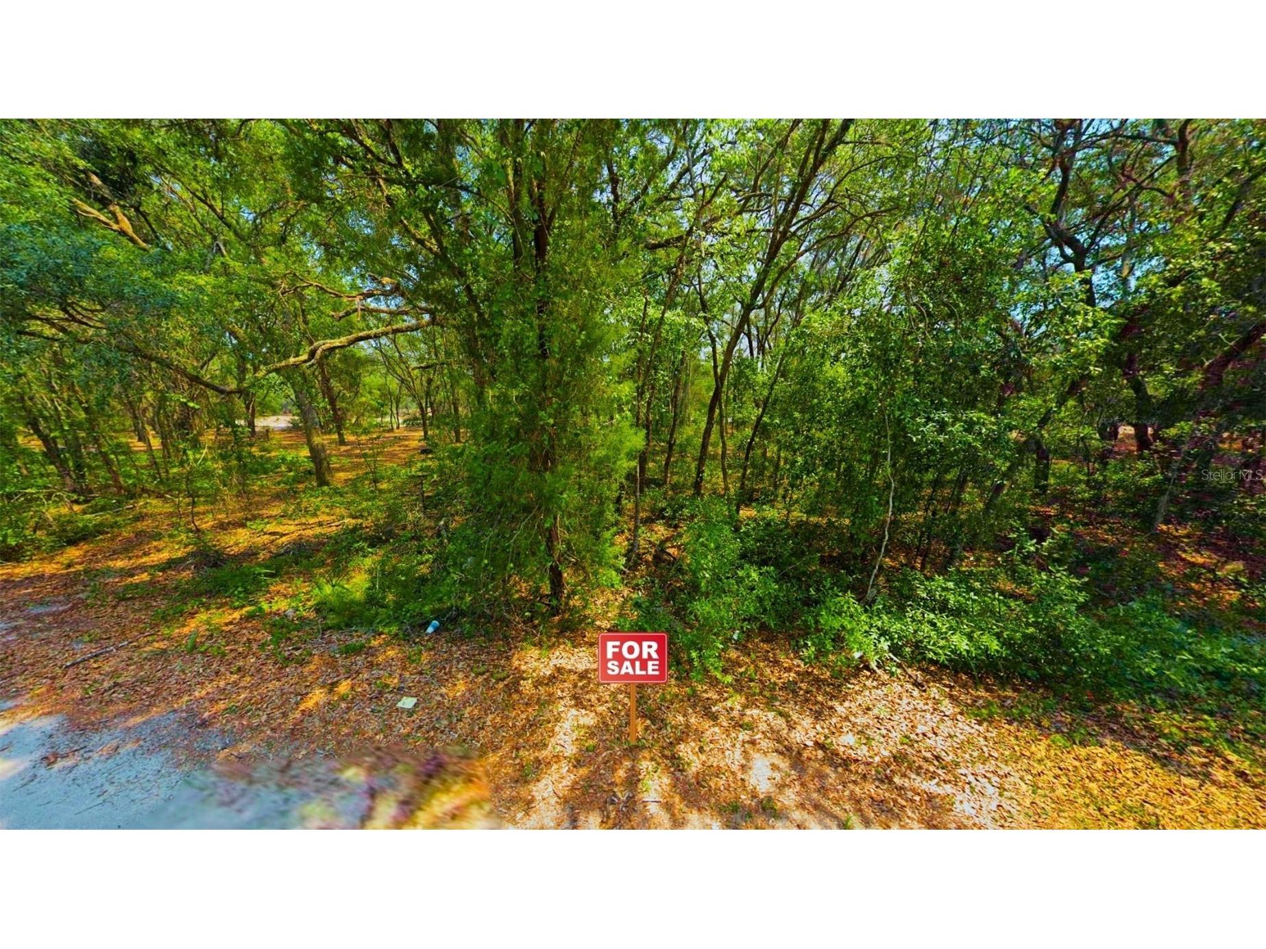 TBD Malauka Radial Ocklawaha FL 32179 A4691232 image3