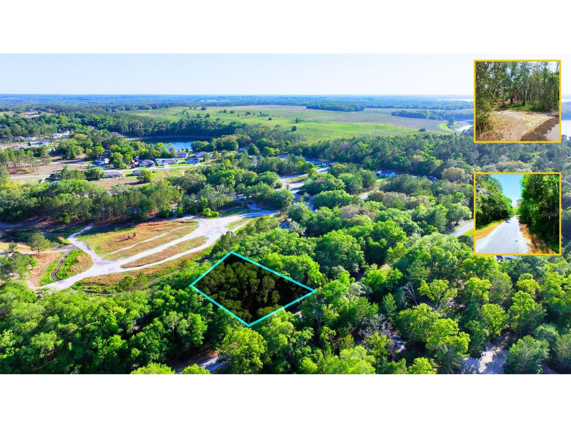TBD Malauka Radial Ocklawaha FL 32179 A4691232 image4