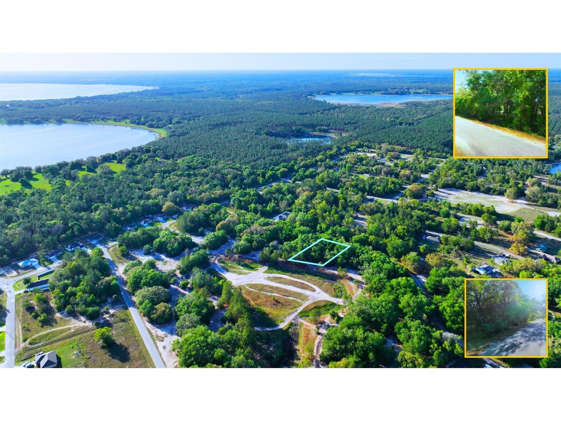 TBD Malauka Radial Ocklawaha FL 32179 A4691232 image5