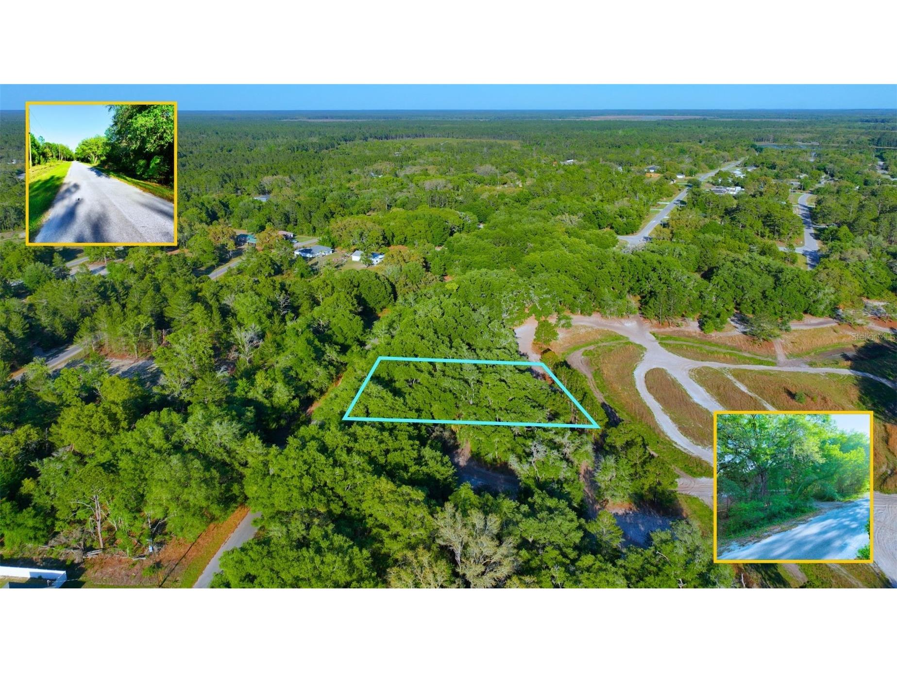 TBD Malauka Radial Ocklawaha FL 32179 A4691232 image6