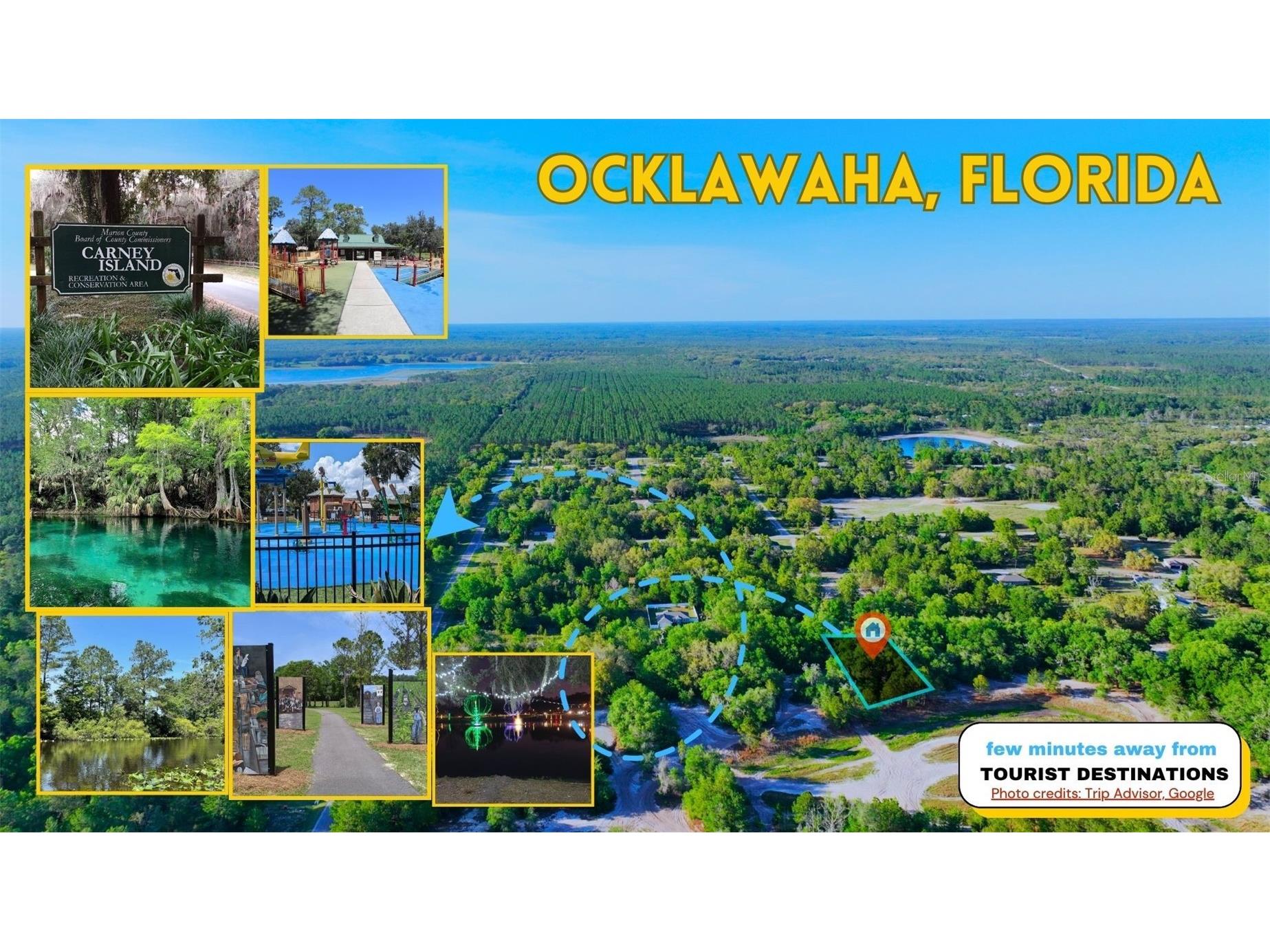 TBD Malauka Radial Ocklawaha FL 32179 A4691232 image8