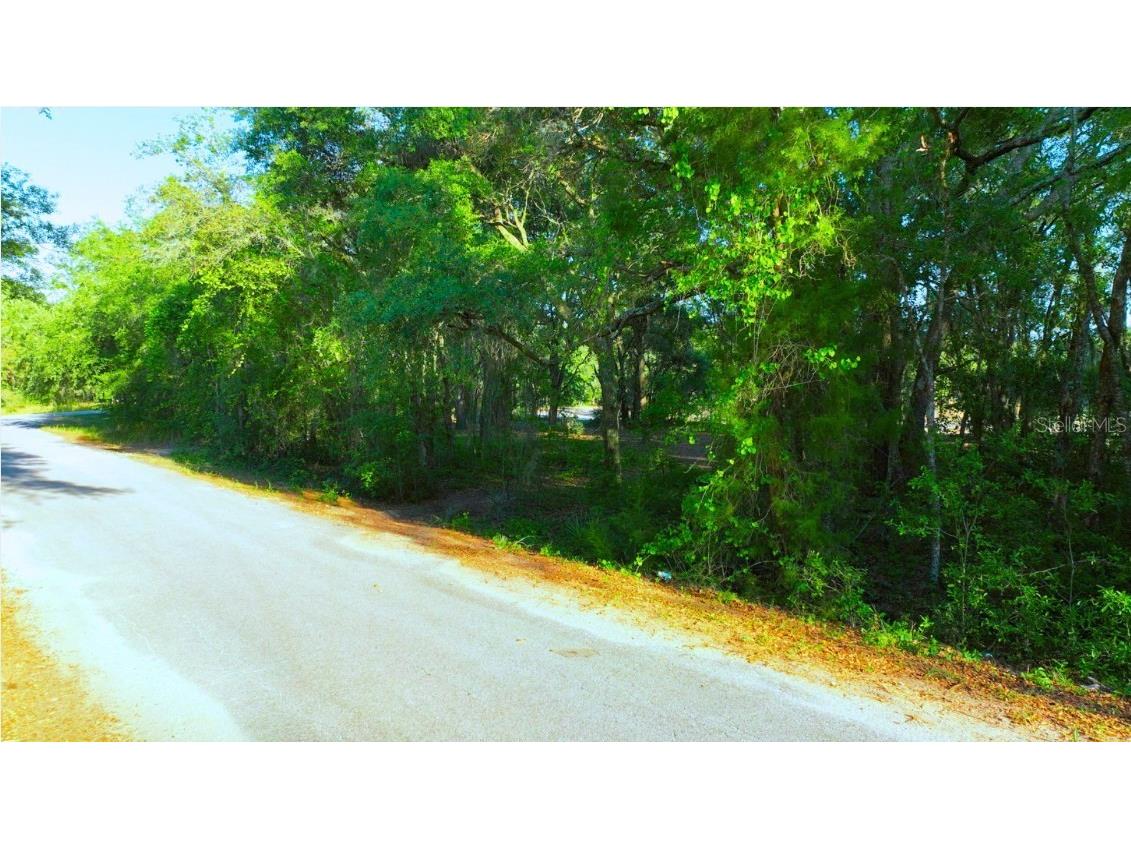 TBD Malauka Radial Ocklawaha FL 32179 A4691232 image9