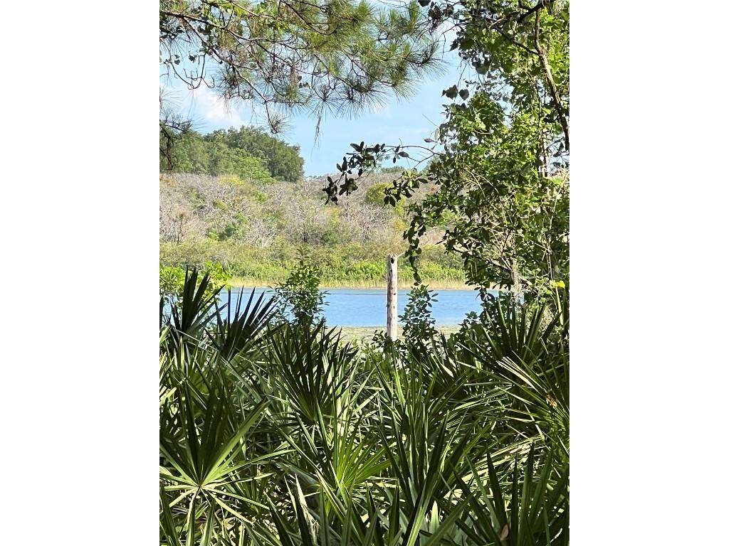 TBD Malauka Radial Ocklawaha FL 32179 - LAKE BETH OM669402 image1