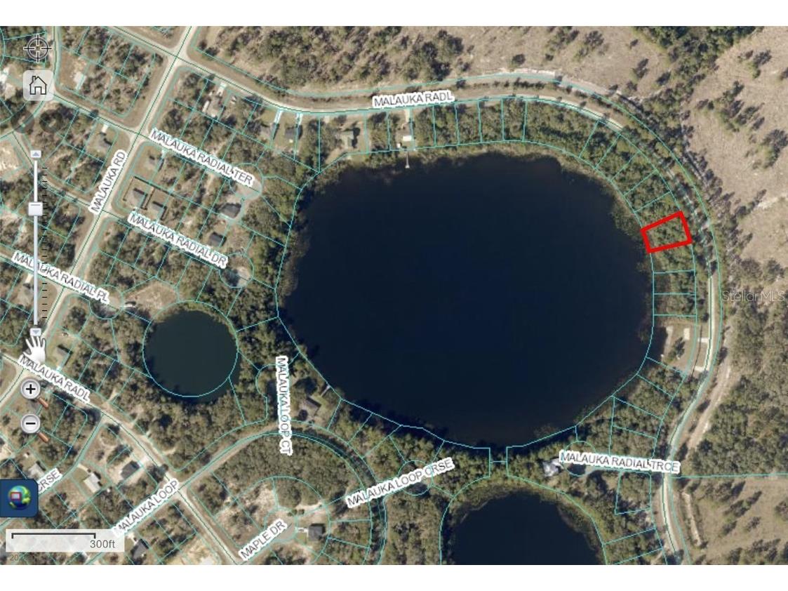 TBD Malauka Radial Ocklawaha FL 32179 - Meadow Lake OM684365 image1