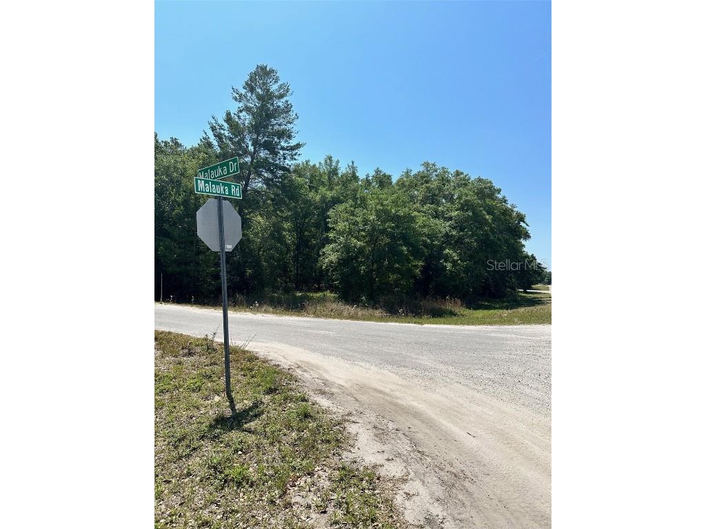 TBD Malauka Road Ocklawaha FL 32179 O6306514 image1
