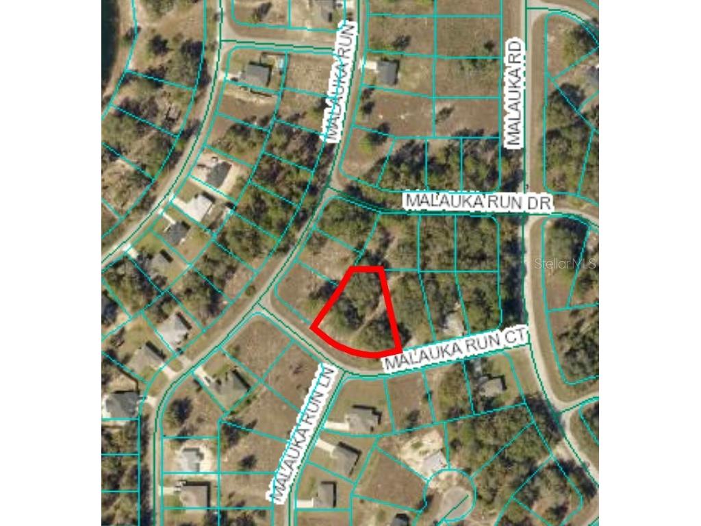 TBD Malauka Run Court Ocklawaha FL 32179 OM690898 image1