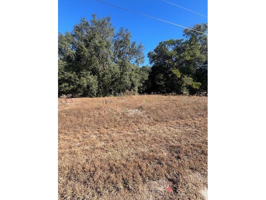 TBD Malauka Run Court Ocklawaha FL 32179 OM690898 image2