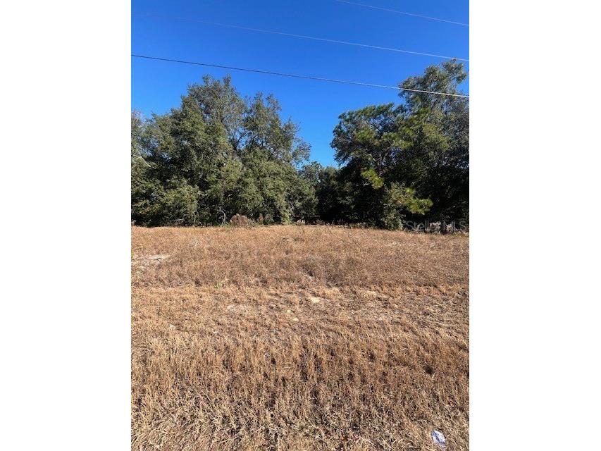 TBD Malauka Run Court Ocklawaha FL 32179 OM690898 image3